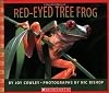 Red-Eyed Tree Frog