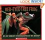 Red-eyed Tree Frog (Scholastic Bookshelf)