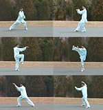 Dr. Chen's Tai Chi 24 Forms Level 4