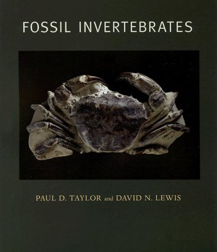 fossil invertebrates