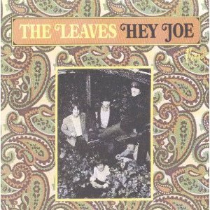 The Leaves - Hey Joe - Zortam Music