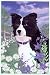 Border Collie House Flag (25x38)