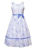 Rare Editions - Chantilly Place Girls 7-16 PERIWINKLE-BLUE WHITE TOILE PRINT CLIP DOT Special Occasion Wedding Flower Girl Party Dress