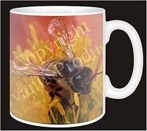 HONEY BEE on FLOWER Coffee Mug