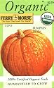 Certified Organic Seeds: Big Max Pumpkin