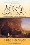 How Like an Angel Came I Down: Conversations With Children on the Gospels