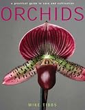 Cover of Orchids by Mike Tibbs 1843308738