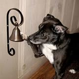 Bell for Dog Housetraining - Hanging Brass