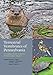 Terrestrial Vertebrates of Pennsylvania: A Complete Guide to Species of Conservation Concern