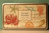 Natural Wonders Rubber Stamps Set By Cavallini & Co.