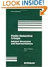 Finite Reductive Groups, Related Structures and Representations (Progress in Mathematics)