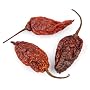 GHOST CHILE (WORLD'S HOTTEST CHILE), 1lb Bag, (Dried)