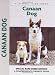 Canaan Dog (Comprehensive Owner's Guide)