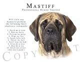 Mastiff Human Trainer Mouse Pad Dog Mousepad