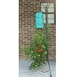 Topsy Turvy Planter 51Oi2ge3JLL. SL160 Topsy Turvy Planter