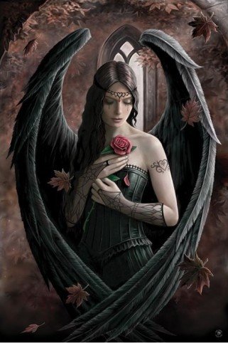 1art1 48892 Gothic - Angel Rose By Anne Stokes Poster (91 x 61 cm)