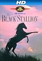 The Black Stallion