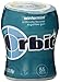 Orbit Wintermint Sugarfree Gum, 55 Piece Bottle