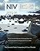 David C. Cook's NIV Bible Lesson Commentary 2015-16: The Essential Study Companion for Every Disciple (David C. Cook Bible Lesson Commentary)