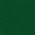 Bazzill Prismatic Cardstock 8.5"X11"-Classic Green  25 per pack