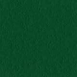 Bazzill Basics Paper T19-5414 Prismatic Cardstock, 25 Sheets, 12 by 12-Inch, Classic Green