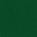 Bazzill Prismatic Cardstock 8.5"X11"-Classic Green  25 per pack