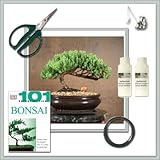 Bonsai Tree Juniper "Do It Yourself" Kit - Bestseller from Joebonsai