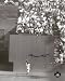 Willie Mays San Francisco Giants - World Series The Catch - Autographed 8x10 Photograph