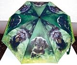 Spuerhund Knirps Schirm - Regenschirm Schirme Knirpsschirm Regen Hund Geschenk Geburtstag T-Shirt