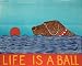Life is a Ball - Chocolate Labrador