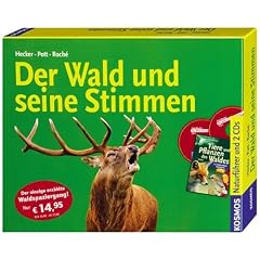 Der Wald und seine Stimmen