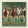 Pint Size Paint Horses Chris Cummings Western Horses Absorbastone Coasters Set/4