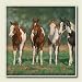 Pint Size Paint Horses Chris Cummings Western Horses Absorbastone Coasters Set/4