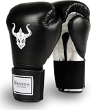 Warrior Training/Sparring Gloves