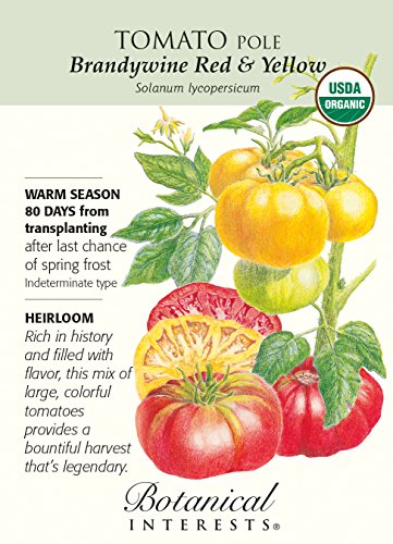 Brandywine Red & Yellow Pole Tomato Seeds - 200 mg Brandywine Red & Yellow Pole Tomato Seeds - 200 mg