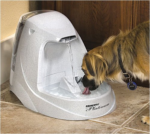 Childrens Toyshop  Pet Supplies : Drinkwell Platinum Pet Fountain