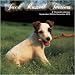 terrier32 - Jack Russell Terriers 2010 Wall Calendar