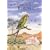 The New Atlas of Australian Birds