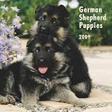 German Shepherd Puppies 2009 Calendar