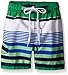Kanu Surf Boys' Toddler Optic Stripe Swim Trunks