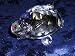 TURTLE and TORTOISE INSPIRED CRYSTAL GLASS ART MINIATURE KEEPSAKE COLLECTOR GIFT FIGURINE