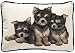 Fiddler's Elbow Yorkie Yorkshire Terrier Puppies Leslie Anderson Designer Decorative Dog Pillow