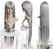 Cosplayland C420 - Extra long 110cm Straight Heat-Resistant Wig - Sephiroth, Yazoo - Silver Grey
