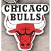 Chicago Bulls Key Ring