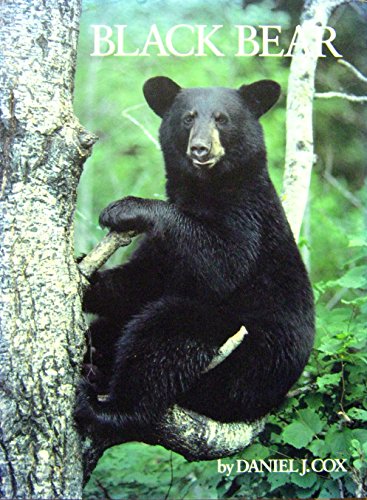 black bear