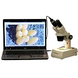 AmScope 20x-40x-80x Stereo Microscope with USB Digital Camera