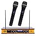 EMB - EBM60E Yellow VHF Dual Wireless Handheld Microphone System with Echo Feature. Great for Karaoke, DJ, PA, Presentation, Live Performances and Family Party