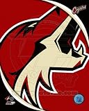 Phoenix Coyotes 2011 Team Logo Poster (8.00 x 10.00)