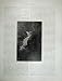 1886 Victoria Australia Steavenson'S Falls River Trees