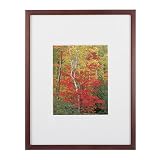 Review B.P. Industries  / Home Photo Frame - Espresso (8x10